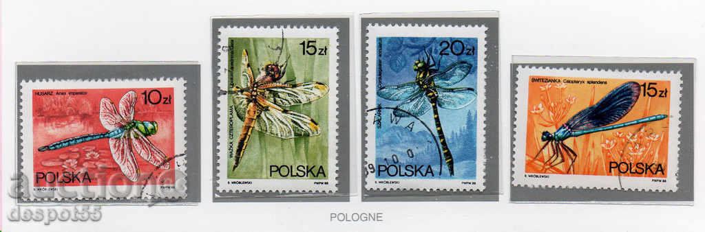 1988. Poland. Dragonflies.