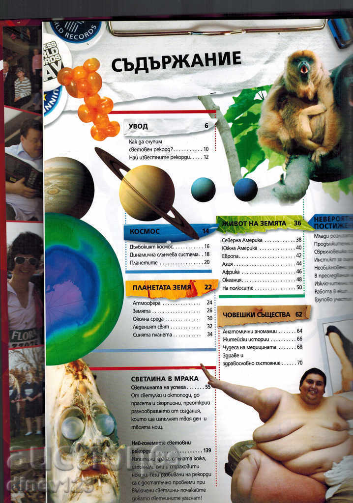 Auction WORLD RECORDS OF GINES 2008 Auction WORLD RECORDS OF GINES 2008