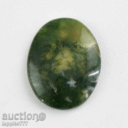 mossy agate camouflage with price 49.99 BGN | € 25.56 mossy agate camouflage with price 49.99 BGN | € 25.56