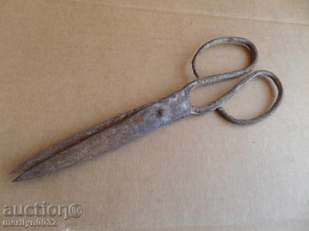 Παλιά καθημερινές ψαλίδι, σίδερο - 6