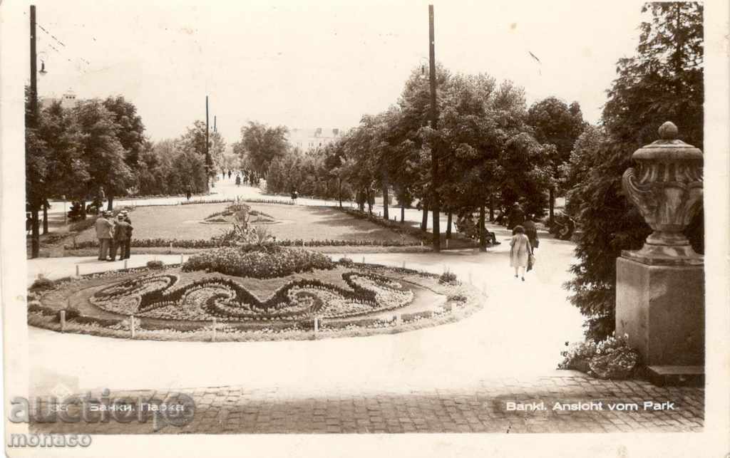 Antique postcard - Banks, park