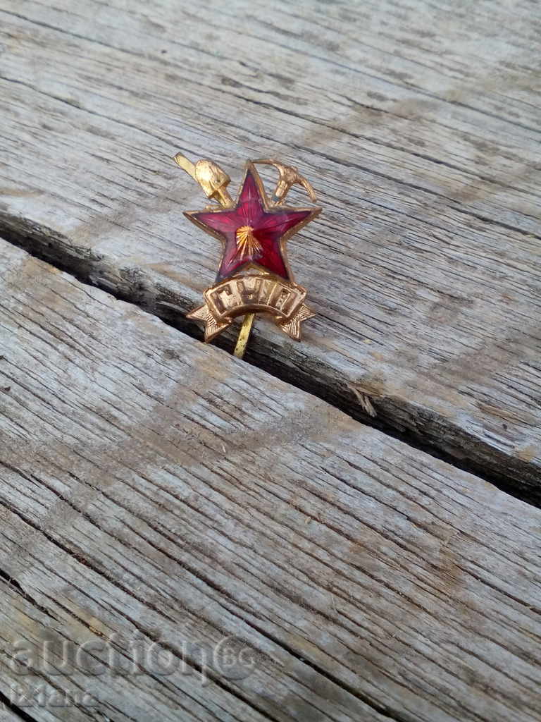 Licitație semneze GRA Licitație semneze GRA