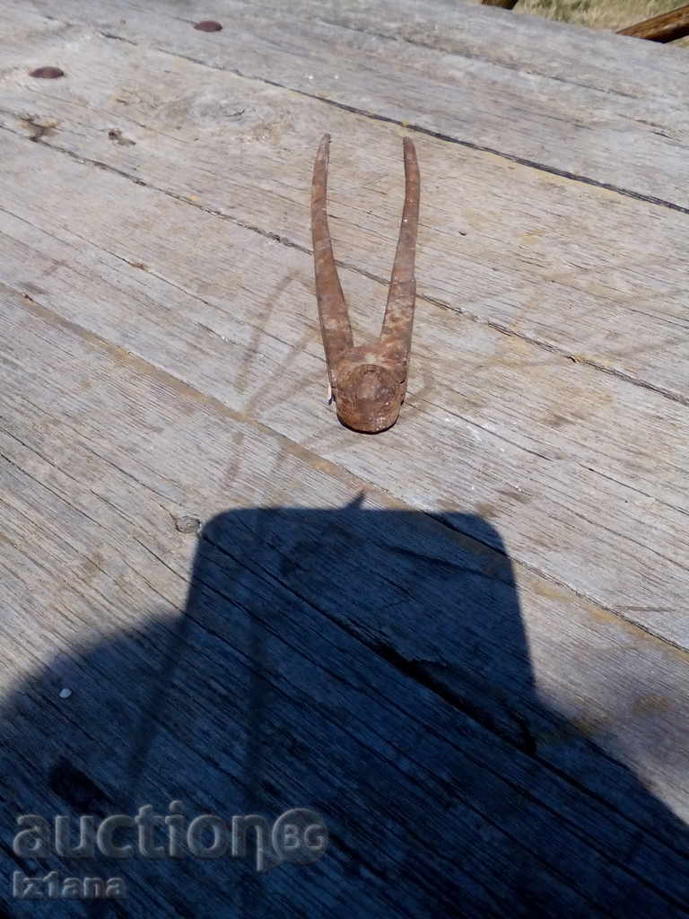 Delivery of An ancient peel