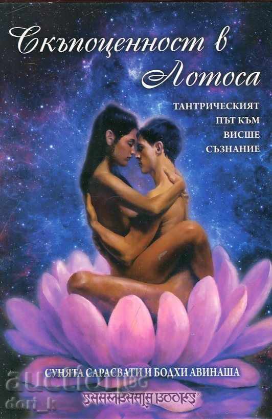 A Precious Gem in the Lotus A Precious Gem in the Lotus