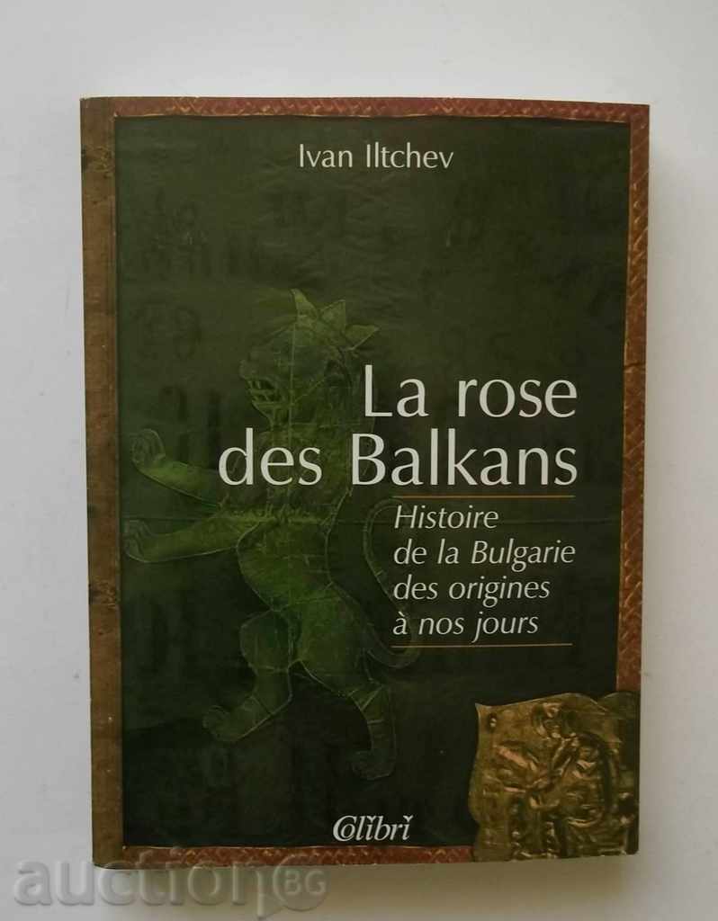 La Rose des Balcani - Ivan Iltchev 2002 cu autograf
