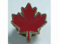 15 572 σήμα Καναδάς Maple Leaf σύμβολο του Καναδά