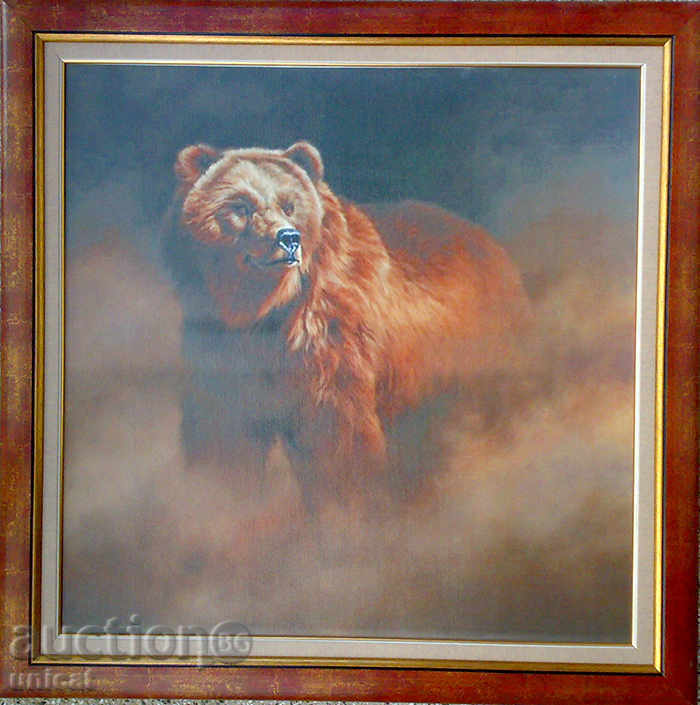 Bear, picture Bear, picture
