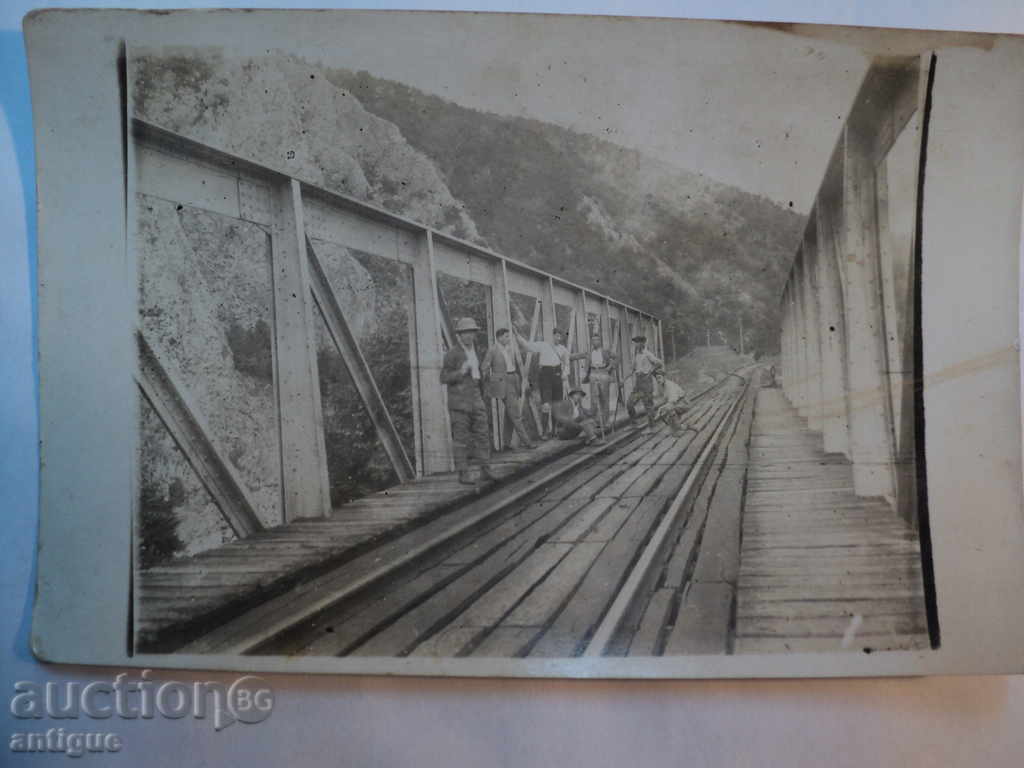 Auction STAR PICTURE MOST. Auction STAR PICTURE MOST.