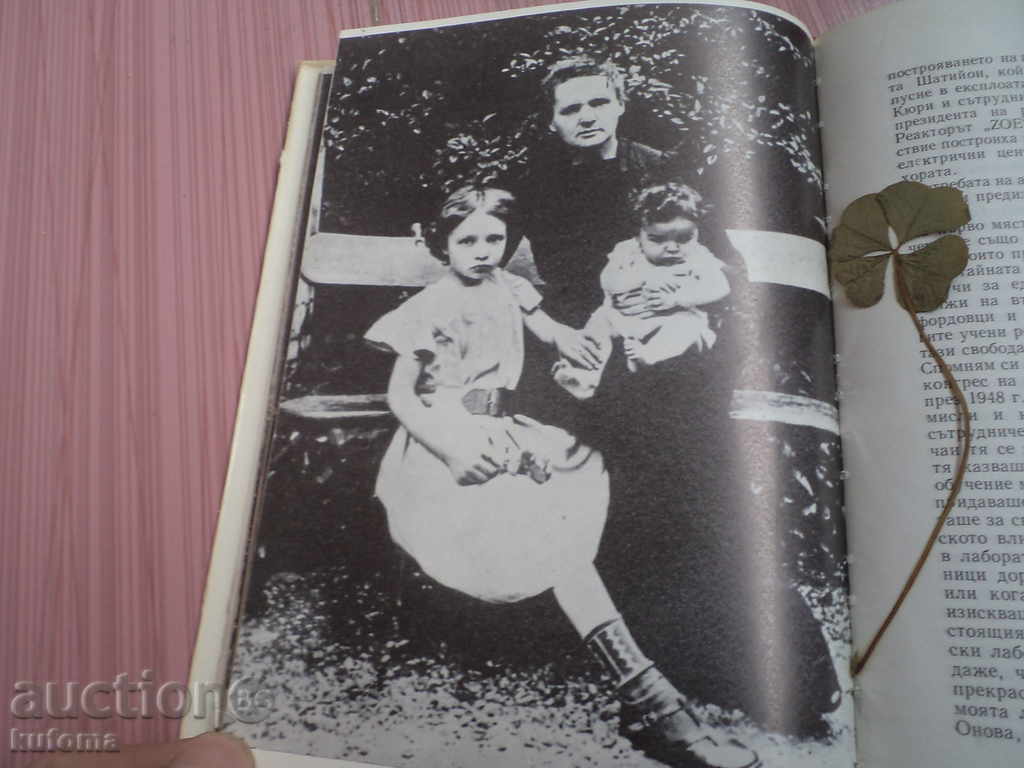 Curie Family Portraits science and art - 6