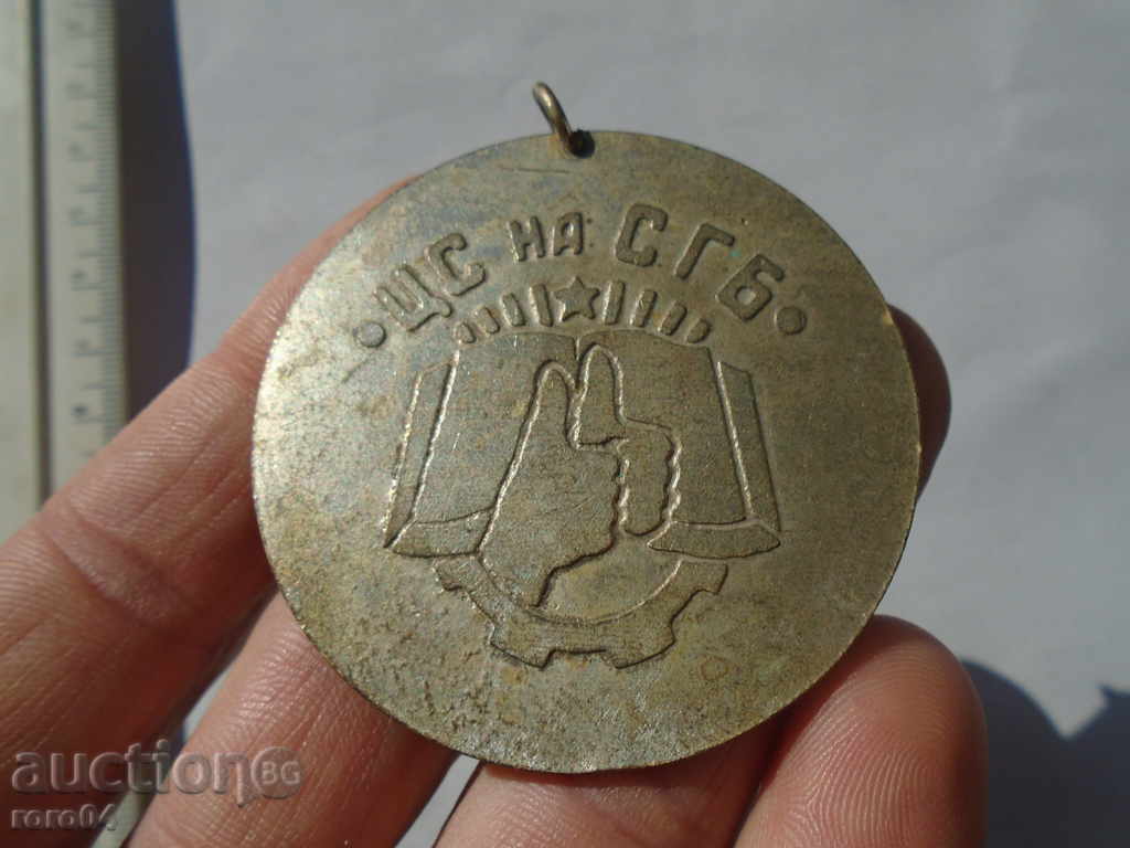 CSF of the SGB - 5 CSF of the SGB - 5