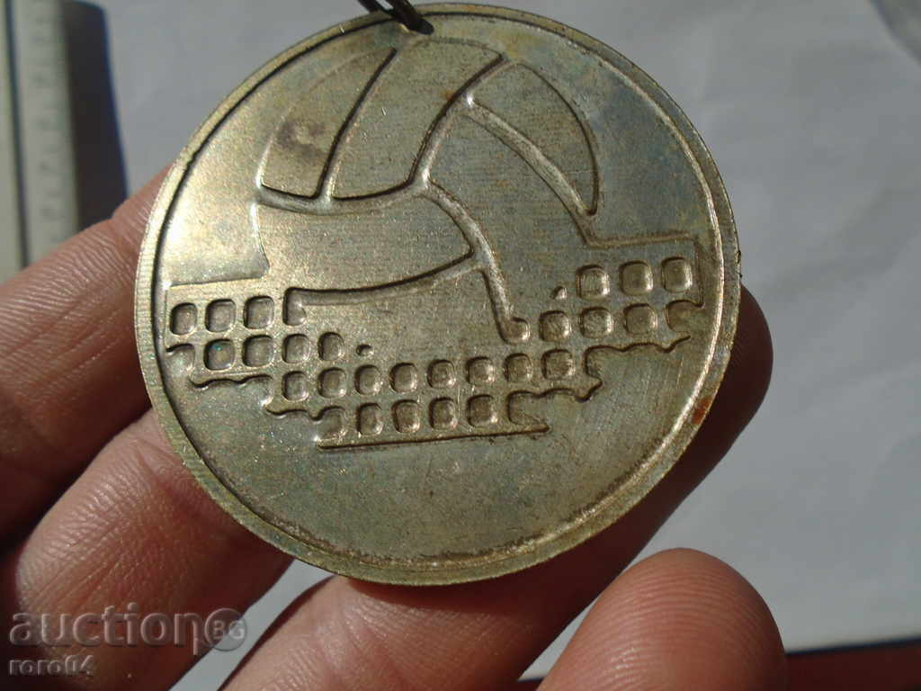 CSF of the SGB - 6 CSF of the SGB - 6