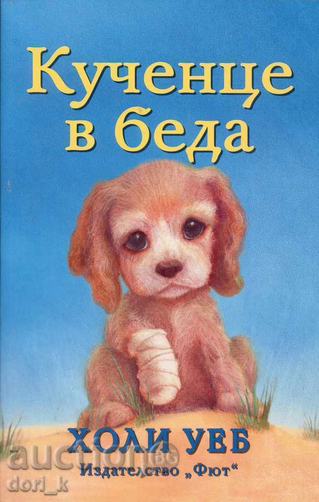 Кученце в беда Кученце в беда