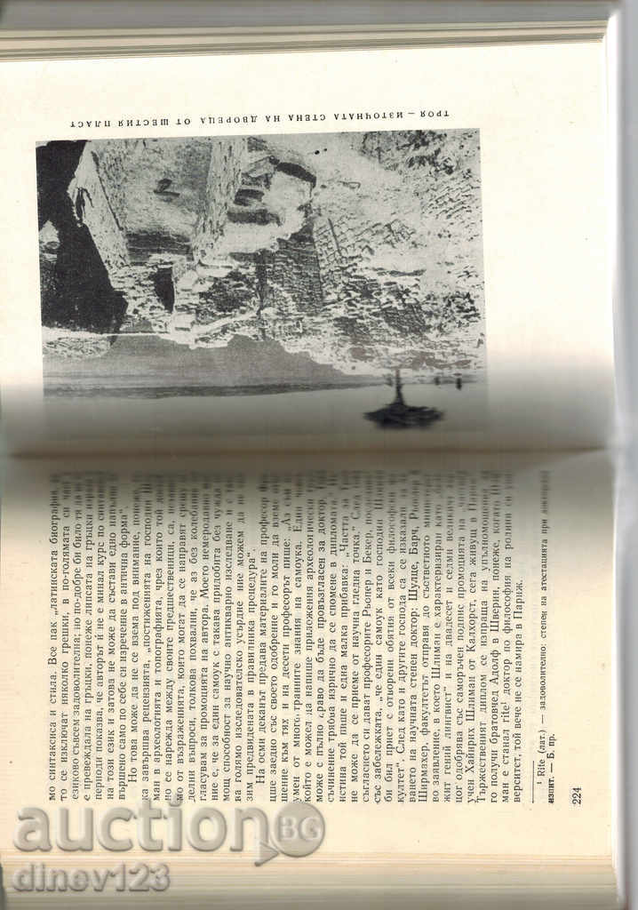 THE TREE MYSTERY - HUNTING THE STOL - 5 THE TREE MYSTERY - HUNTING THE STOL - 5