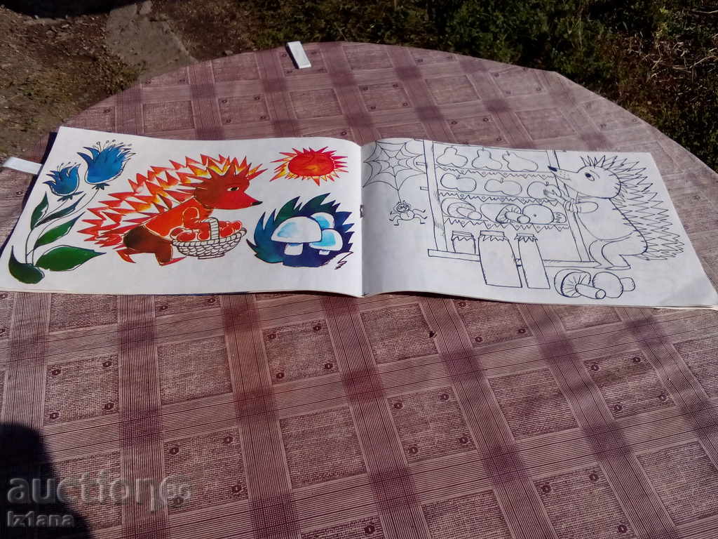 Auction  Album, coloring book