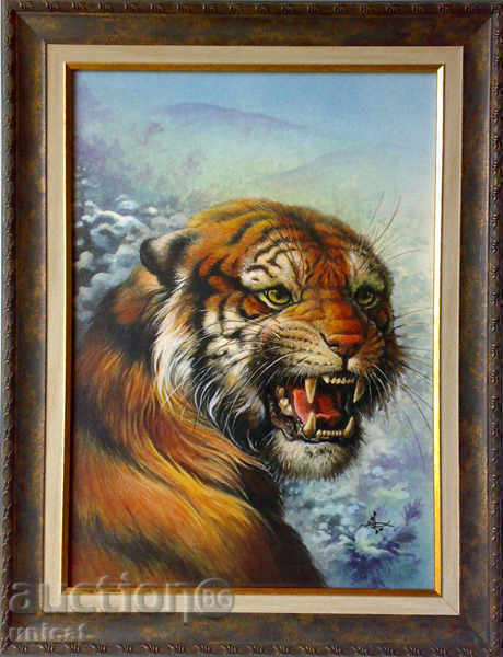 Tiger - imagine