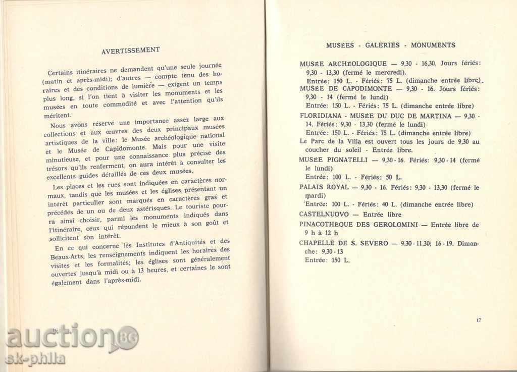 Auction  Brochure - Naples, tourist routes