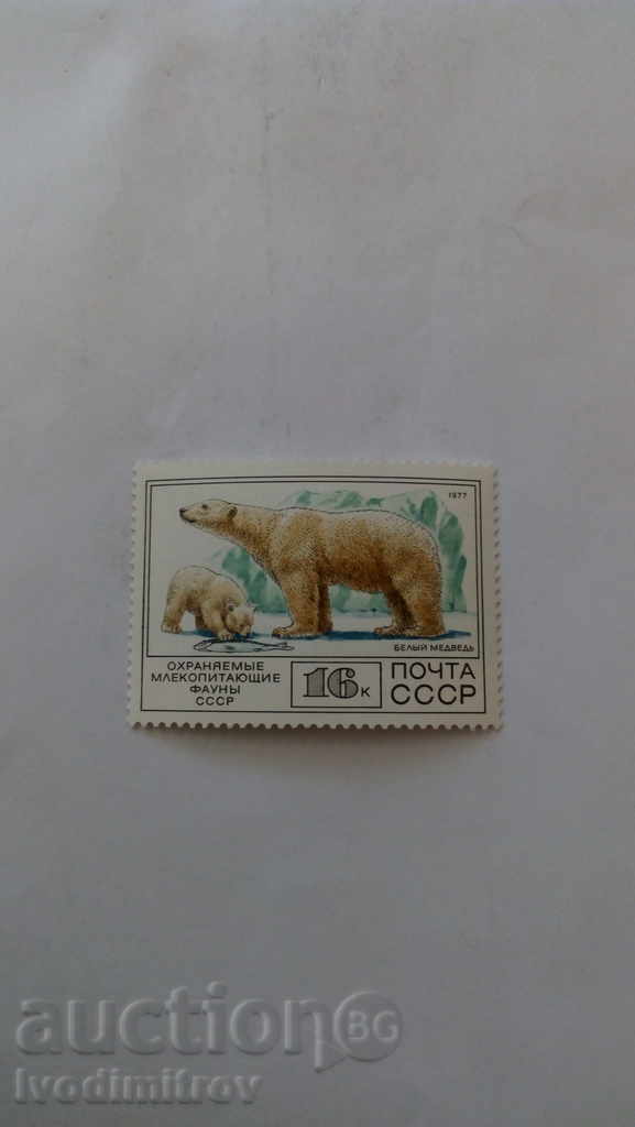 Asigurați-URSS Belыy medvedy 1977
