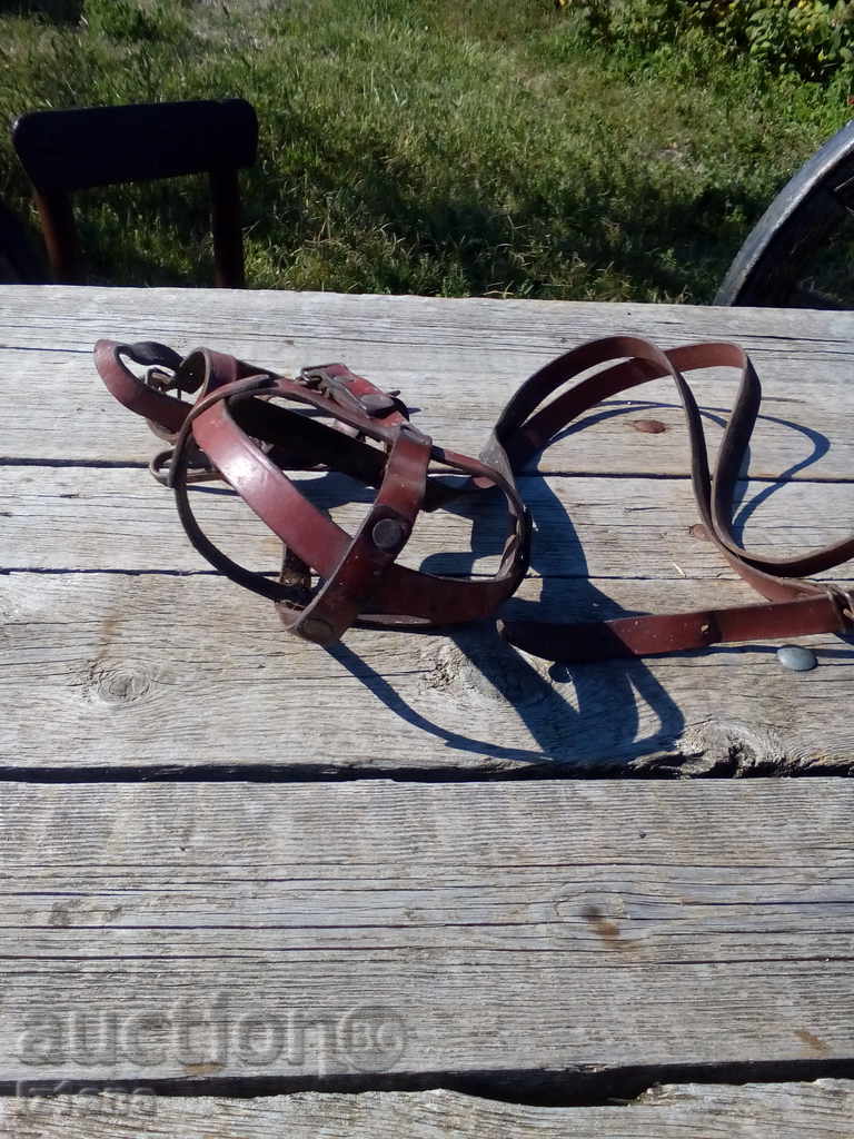 Muzzle with price 11.00 BGN | € 5.62 Muzzle with price 11.00 BGN | € 5.62