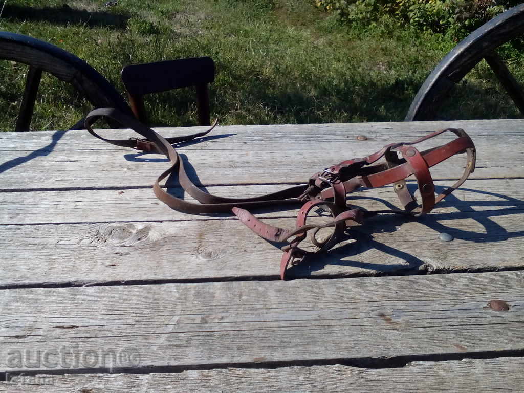 Auction Muzzle Auction Muzzle