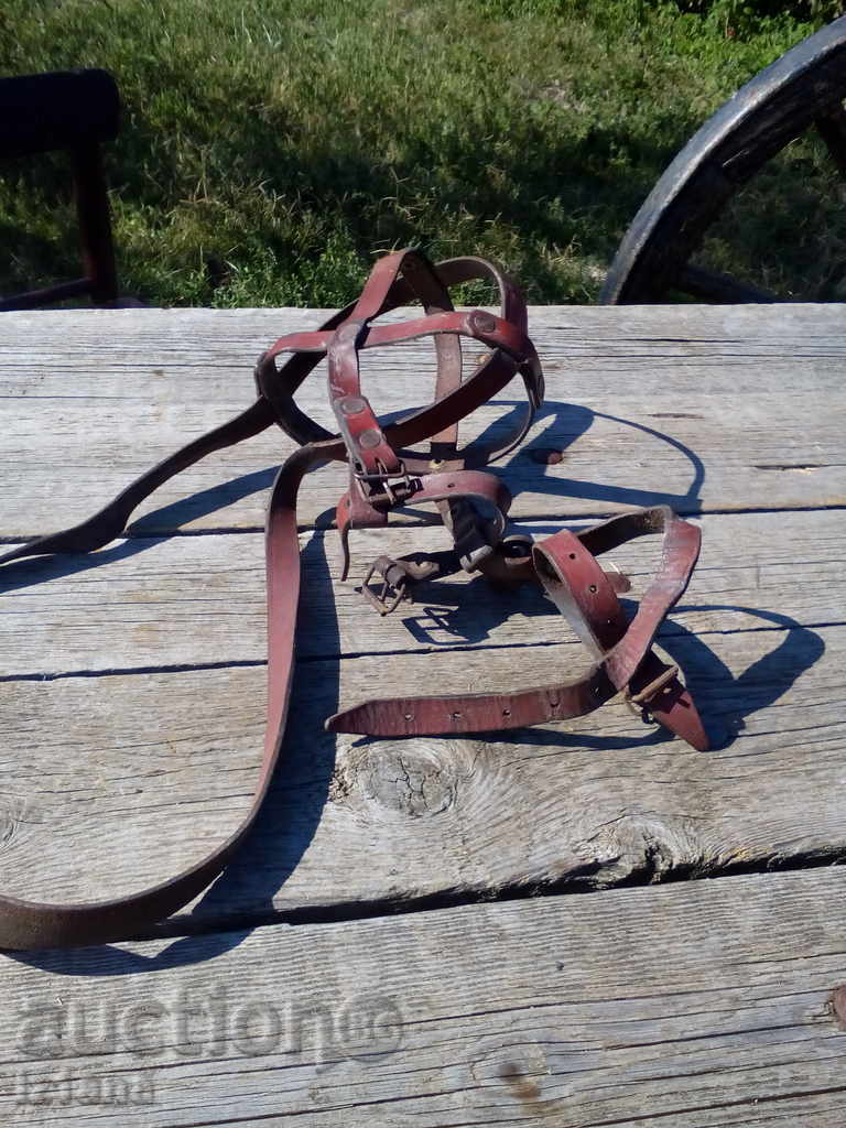 Delivery of Muzzle Delivery of Muzzle