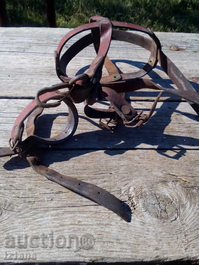 Muzzle - 6 Muzzle - 6