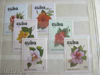 Cuba. Flora. Flowers