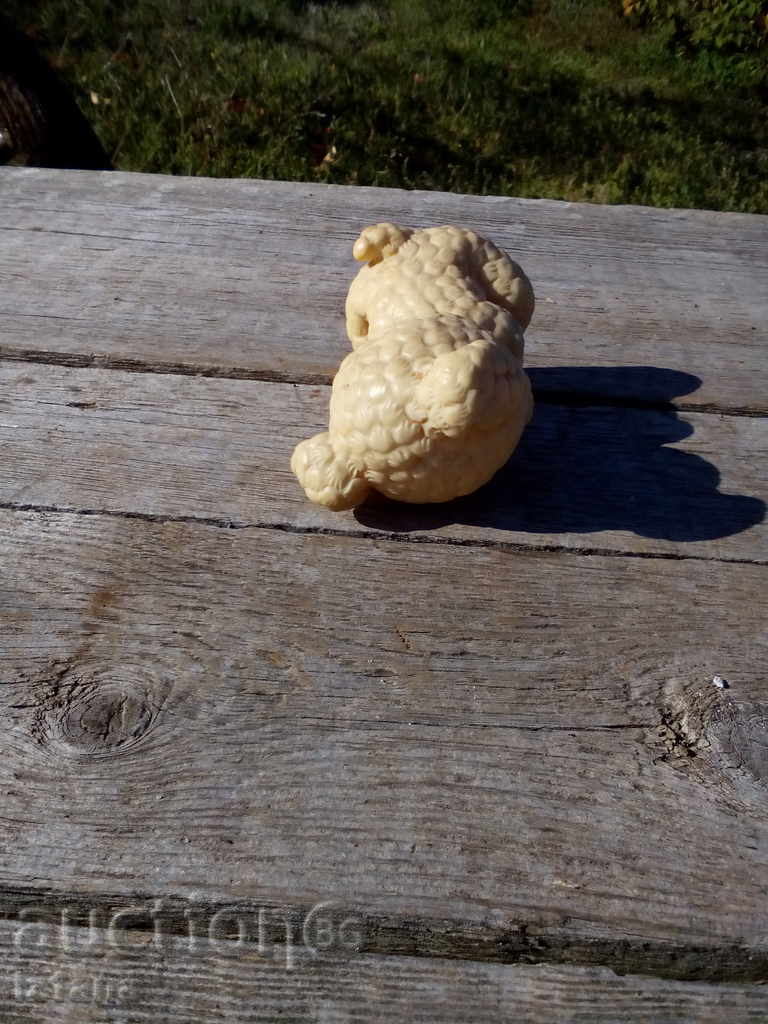 παιχνίδι σκυλιών - 6 παιχνίδι σκυλιών - 6