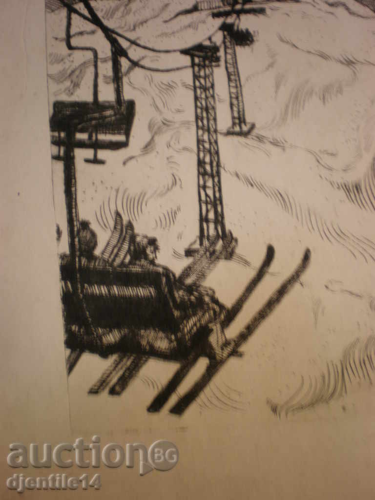 Licitație amprenta la sol -14/27cm.