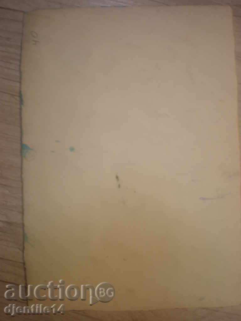 Auction Watercolor-18/25cm. Auction Watercolor-18/25cm.