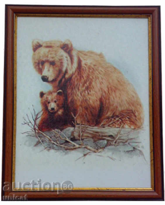 Bear with bear, picture