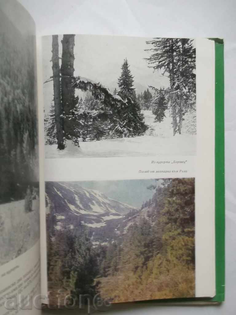 Forest Farms in Bulgaria - Dimitar Filyazov and others. 1976 with price 22.50 BGN | € 11.50 Forest Farms in Bulgaria - Dimitar Filyazov and others. 1976 with price 22.50 BGN | € 11.50