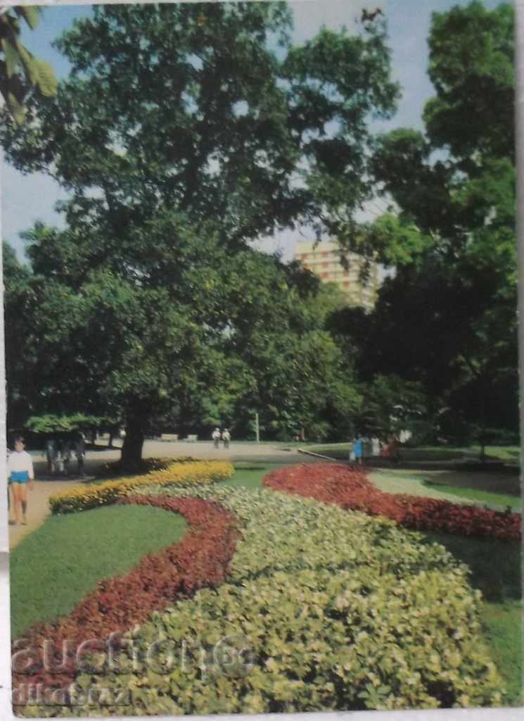Ямбол - парка - 1974