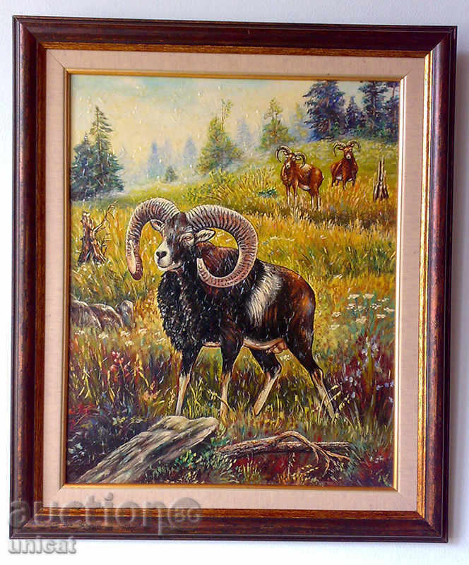 Mouflons, picture framed