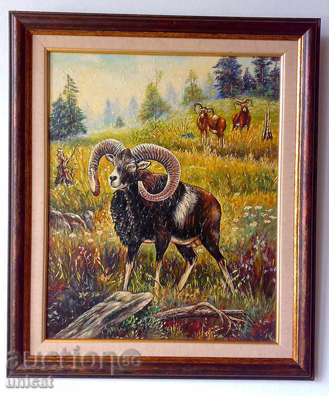 Mouflons, picture framed Mouflons, picture framed