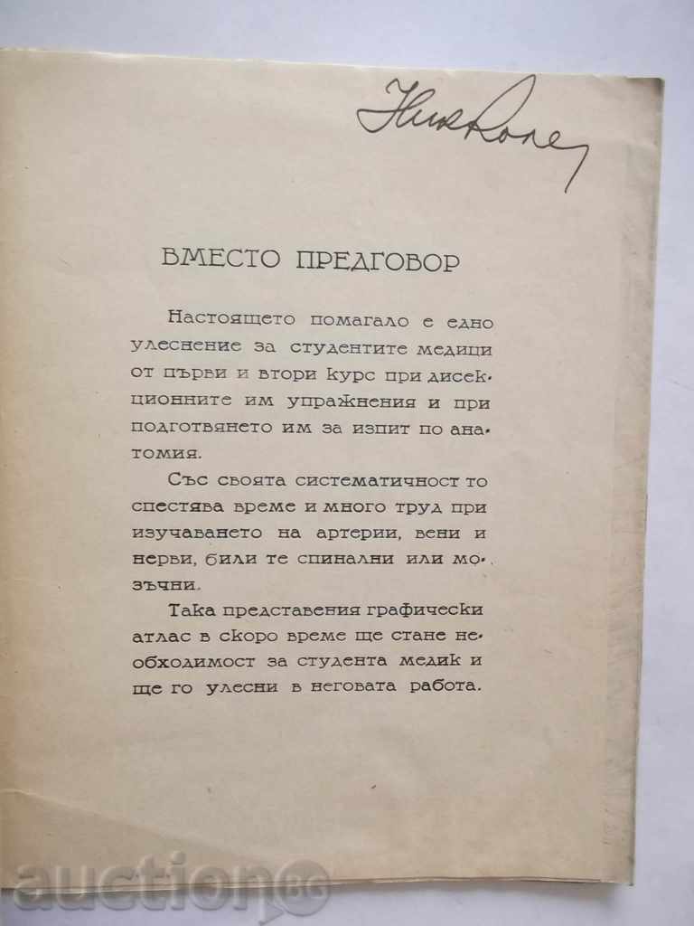 Графически атлас за подробно изучаване на всички съдове и с цена 28.00 лв. | € 14.32 Графически атлас за подробно изучаване на всички съдове и с цена 28.00 лв. | € 14.32