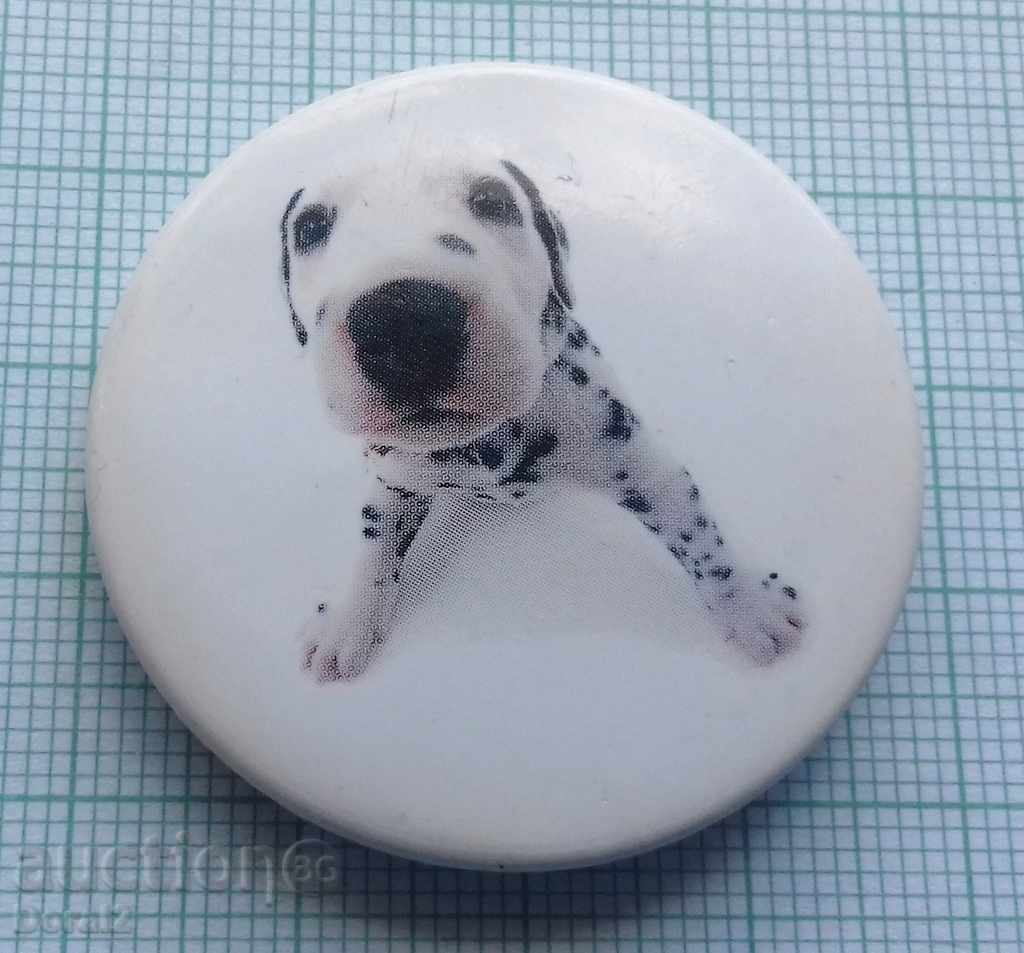 1414 Badge - Dog Dalmatian