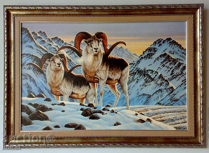 Winter landscape with mouflon, picture for hunters