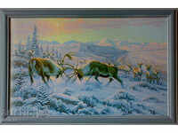 Reindeer, picture for hunters