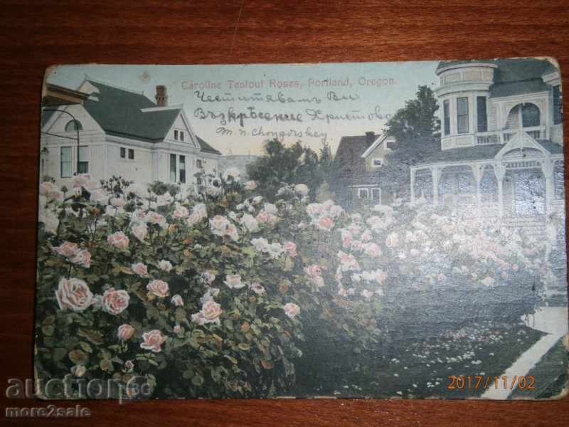 POSTCARD - Portland, Oregon - 1909