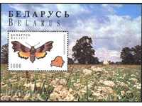 Καθαρίστε μπλοκ Πανίδα έντομα Πεταλούδες 1996 Λευκορωσία
