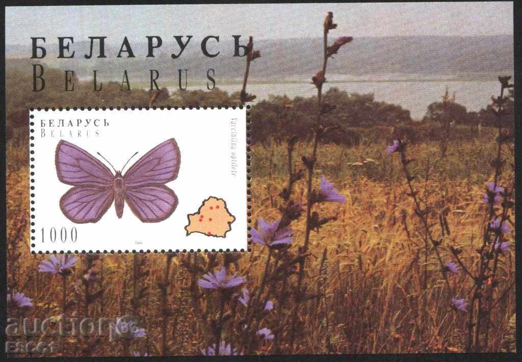 Clean block Fauna Insects Butterflies 1996 Belarus