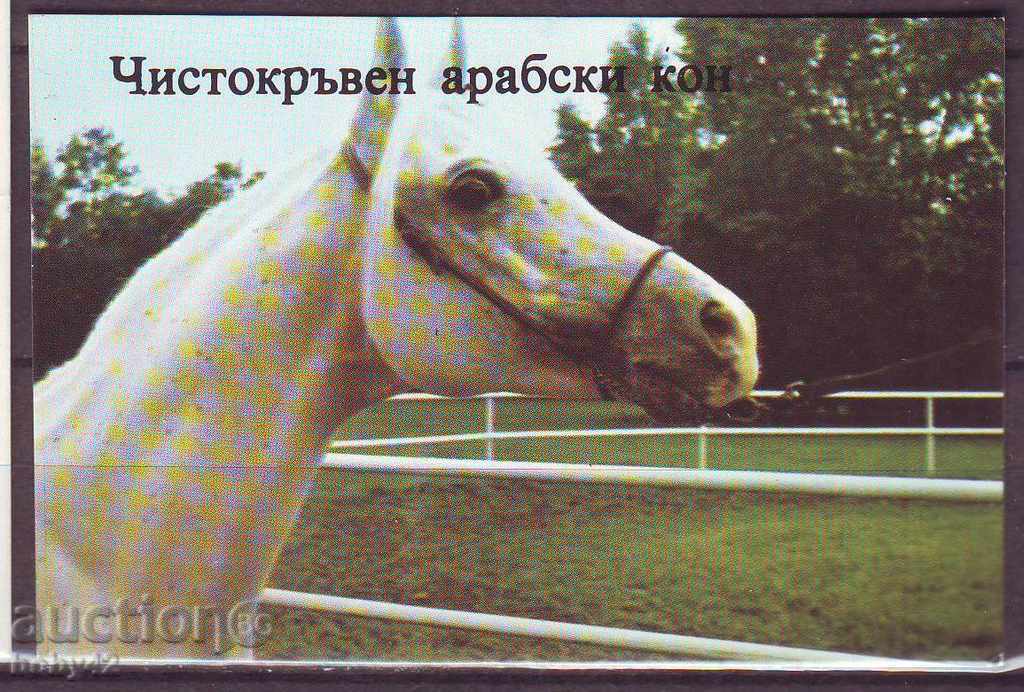 РСИ Рекламносувенирно  календарче- 1986 г.,