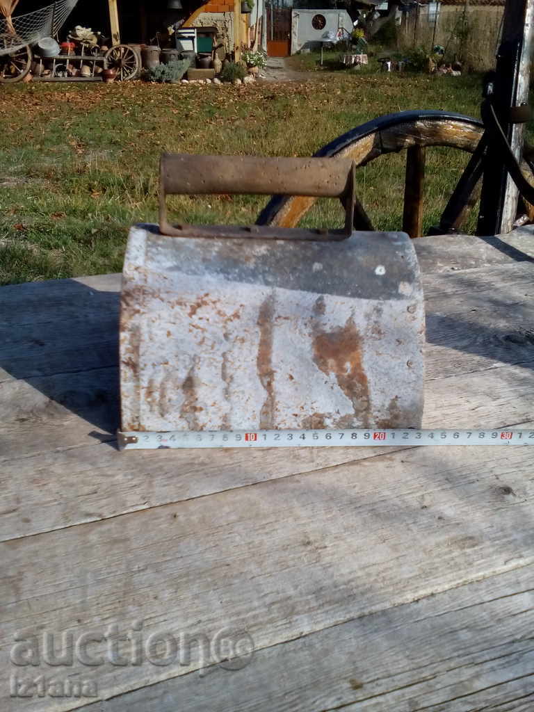 Auction An ancient marigold Auction An ancient marigold