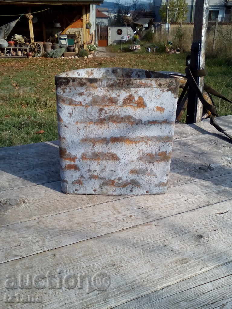 An ancient marigold - 6 An ancient marigold - 6