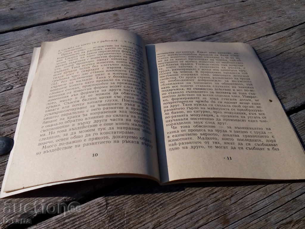 Auction  Book The role of labor in turning a monkey into a man