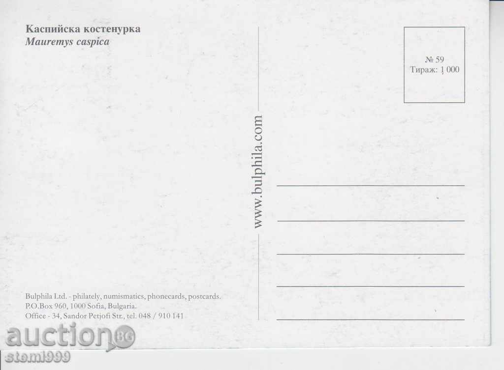 Map a maximum of turtles with price 2.00 BGN | € 1.02