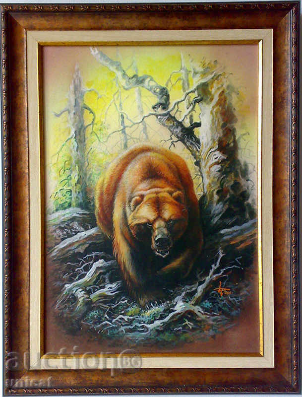 Αρκούδα, εικόνα για τους κυνηγούς