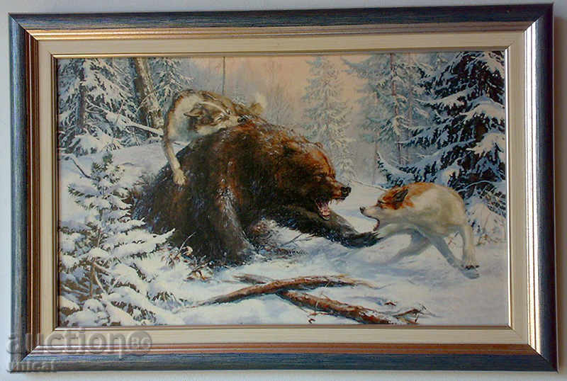 Bear against lacy dogs, picture for hunters