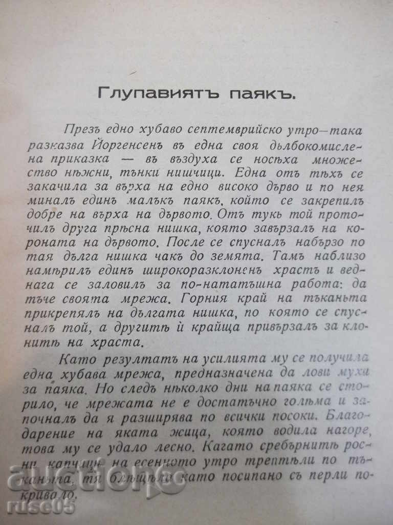 Auction Book "Keep Your Faith - Prof. Tota" - 104 pages Auction Book "Keep Your Faith - Prof. Tota" - 104 pages