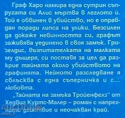 The Secret of Troyenfeld Castle 3 with price 1.49 BGN | € 0.76